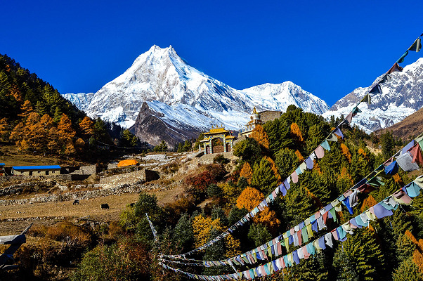 Manaslu Circuit Acclimatization Day: What to Do in Samagaon