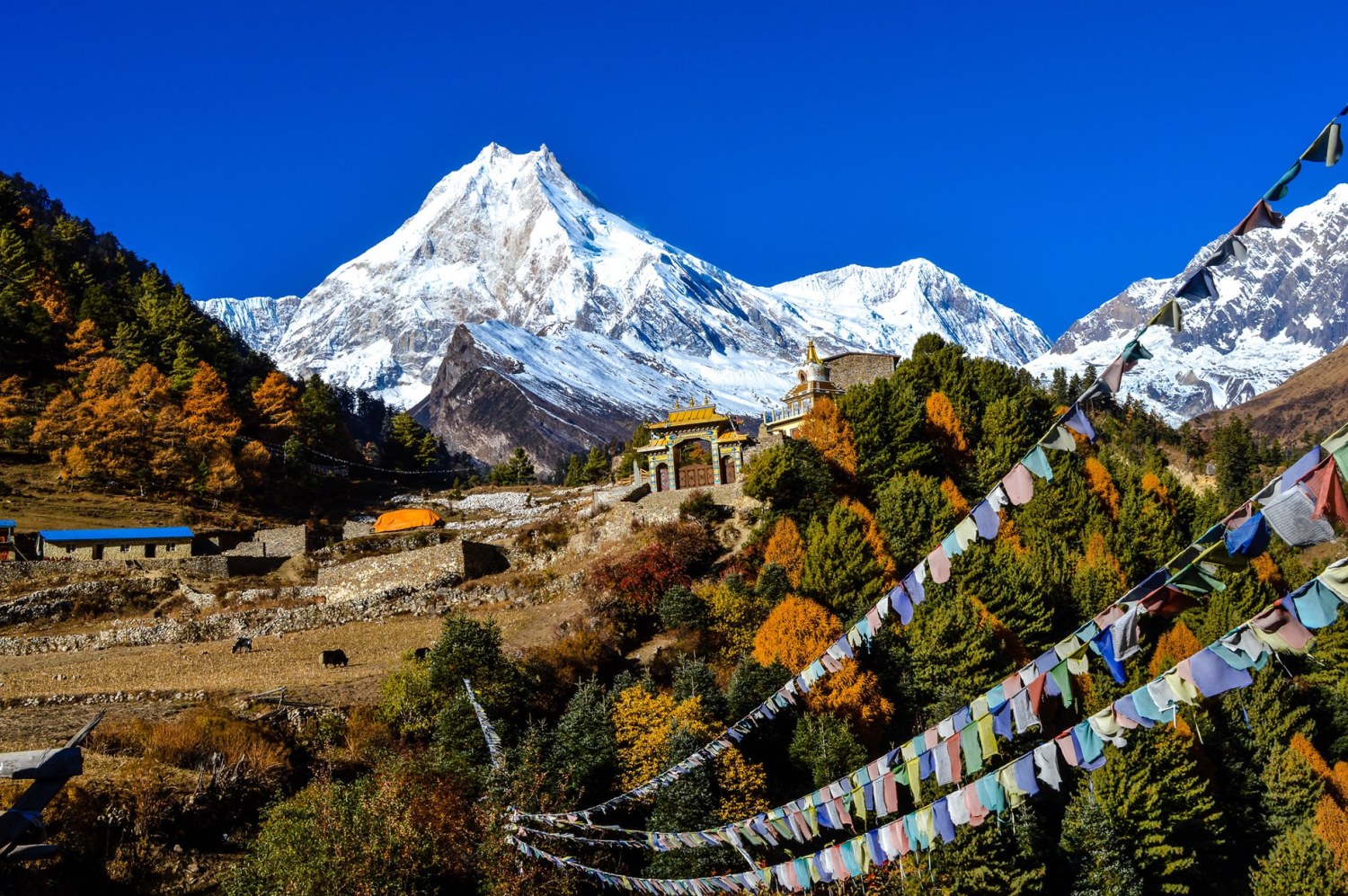 Manaslu Circuit Acclimatization Day: What to Do in Samagaon
