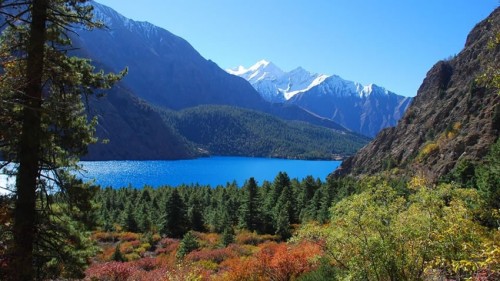 Lower Dolpo Trekking
