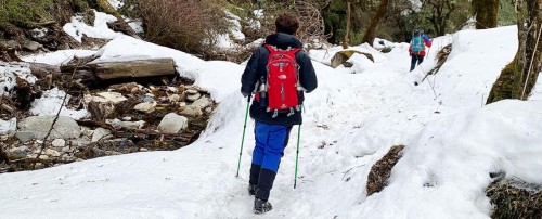 No more solo treks in Nepal from 1st April - Guides Mandatory
