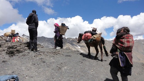 Upper Dolpo Trekking: Itinerary & Cost